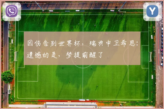 因伤告别世界杯，瑞典中卫希恩：遗憾的是，梦提前醒了